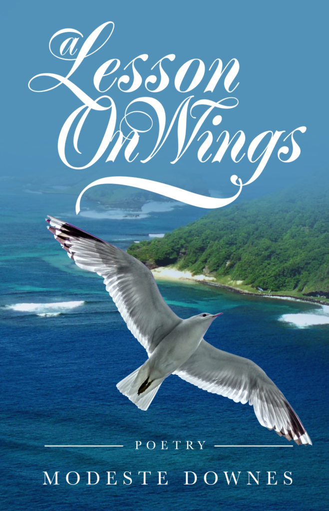 A Lesson On Wings